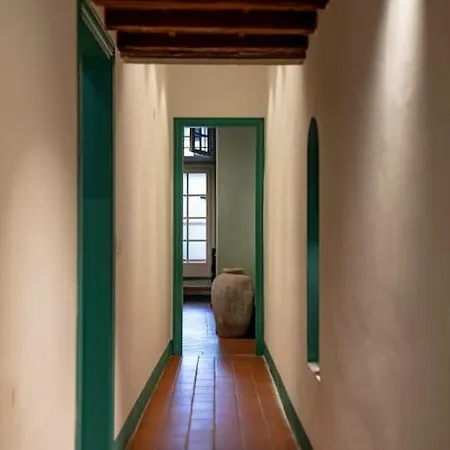 Raffinato Trilocale San Frediano דירה *